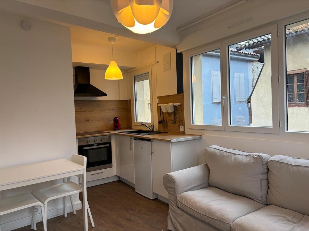 Apartament L'Ecrin Bleu Saint Gaudens Zewnętrze zdjęcie